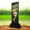 Shadowline Rugby Player of the Month Trophy – Stainless Steel Award