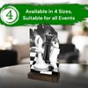 Shard Chess Eco Friendly Wooden Trophy