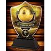 Crestline Football Players’ Player Trophy