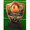 Club Colours Top Goal Scorer Shield Trophy
