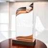 United Badminton Acrylic Wood Fusion Trophy