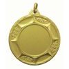 Karst Logo Insert Gold Brass Medal