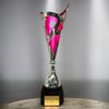 Havana Silver & Pink Blade Trophy