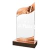 United Acrylic Wood Ballet Trophy