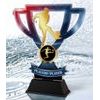 Stadium Players Player Football Cup Trophy