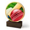 Holt Colour Cricket Real Wood Trophy