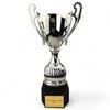 Lamar Silver Cup