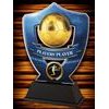 Crestline Football Players’ Player Trophy