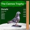 Cannes Pigeon Trophy