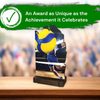 Shard Volleyball Eco Friendly Wooden Trophy
