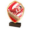 Arden Gymnastics Male Real Wood Shield Trophy