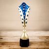 Vector Gold & Blue Star Trophy
