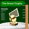 Grove Classic Volleyball Real Wood Trophy