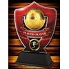 Crestline Football Players’ Player Trophy