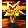 Special Award Star Trophy