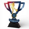 Stadium Players Player Football Cup Trophy