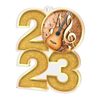 Acoustic Guitar Acrylic 2023 Medal