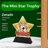 Mini Star Islamic Studies Trophy