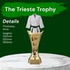 Trieste Martial Arts Jacket Trophy