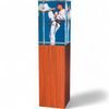 Lumina Martial Arts Wood and Glass Award