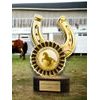 Altus Classic Horse Riding Trophy