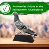 Ostrava Pigeon Trophy