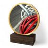 Holt Colour Cycling Real Wood Trophy