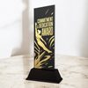 Shadowline Gymnastics Commitment and Dedication Award Trophy – Stainless Steel Award
