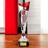 Champions Silver and Red Metal Football Trophy Cup