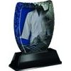 Iceberg Martial Arts Trophy