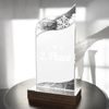 United Snowflake Acrylic Wood Fusion Trophy
