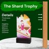 Shard Gymnastics Eco Friendly Wooden Trophy