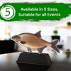 Ostrava Carp Fish Trophy