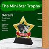 Mini Star Fencing Trophy