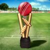 Botham Real Wood Cricket Ball Holder (Ball not included)