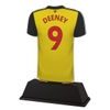 Football Shirt Custom Made Acrylic Award