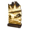 Shard Classic Swimming Eco Friendly Wooden Trophy