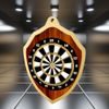 Molton Classic Darts Shield Stainless Steel Medal