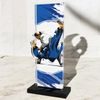 Apla Female Judo Trophy