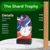 Shard Running Eco Friendly Wooden Trophy