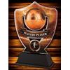 Crestline Football Players’ Player Trophy