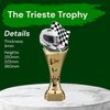 Trieste Motorsports Helmet Trophy
