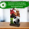 Shard Football Eco Friendly Wooden Trophy