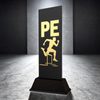 Shadowline School PE Trophy – Stainless Steel Award