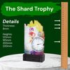Shard Female Running Eco Friendly Wooden Trophy