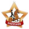 Dressage Mini Star Bronze Medal