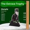 Ostrava Cat Show Trophy