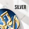 Aurum Music Stainless Steel Logo Insert Medal