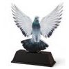 Ostrava Pigeon Racing Trophy