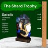 Shard Boxing Eco Friendly Wooden Trophy